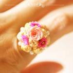 Miniature Food Ring - Profi..